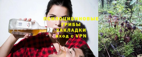 спиды Балахна