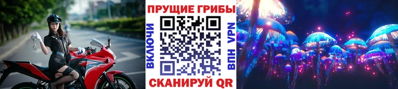 Псилоцибиновые грибы Psilocybe Сосенский